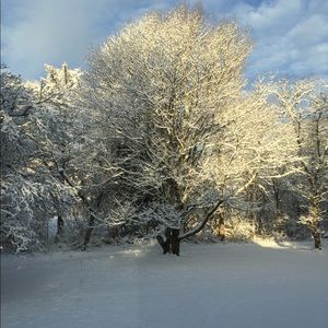 Meet your Posher, Nan